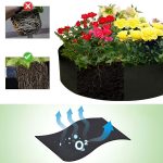 PLANTIE