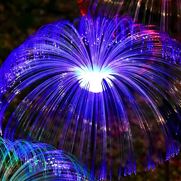 LUMIPALM